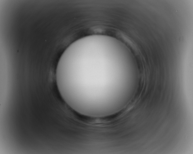 X0000099990467200805231048