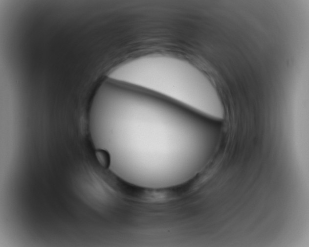 X0000099990469200805231048