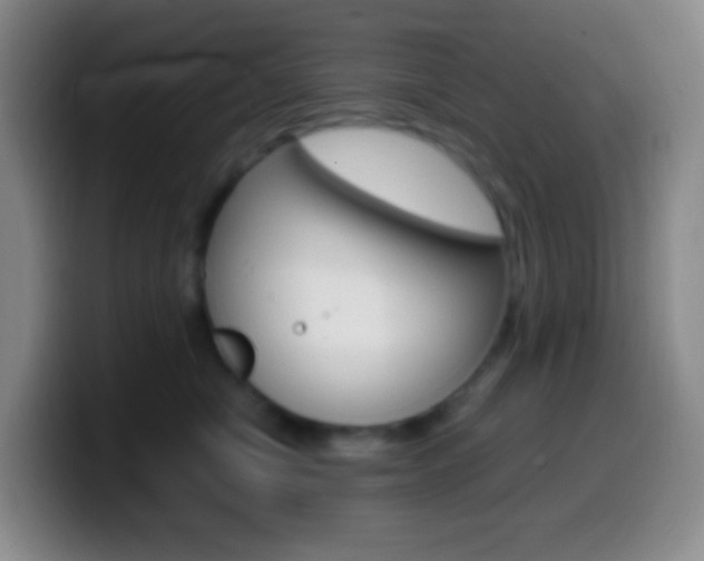 X0000099990470200805231048