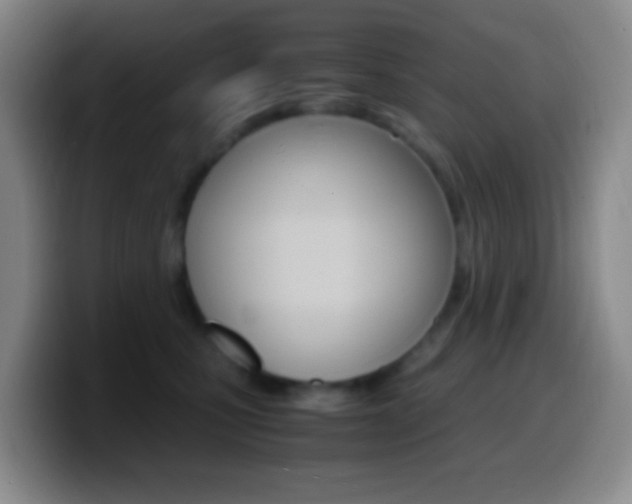 X0000099990471200805231048