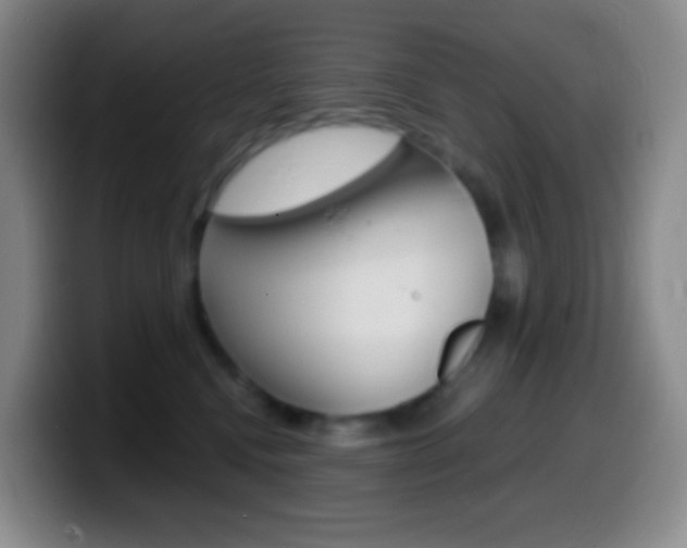 X0000099990472200805231048