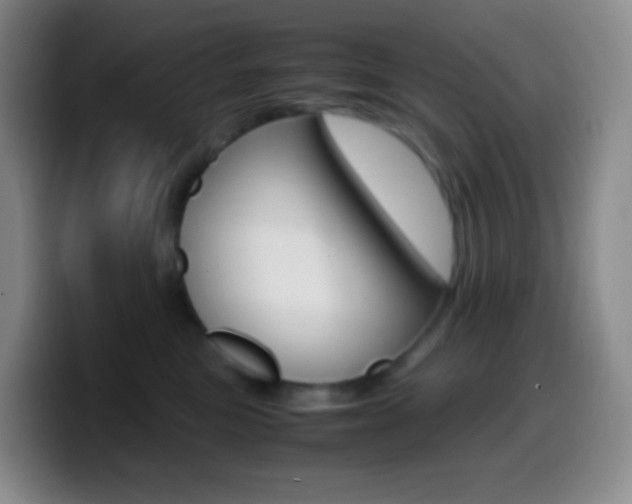 X0000099990473200805231048