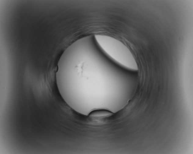 X0000099990475200805231048