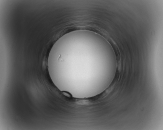 X0000099990476200805231048