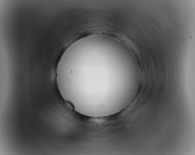 X0000099990477200805231048