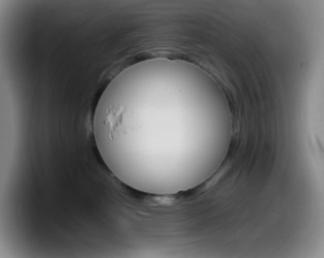 X0000099990478200805231048