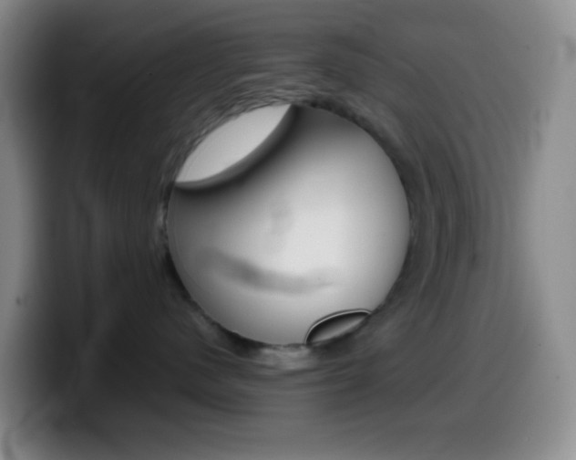 X0000099990480200805231048