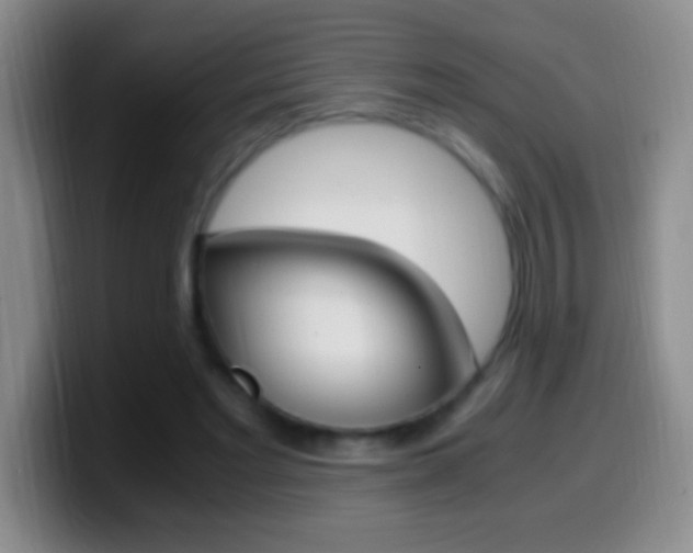 X0000099990493200805231047