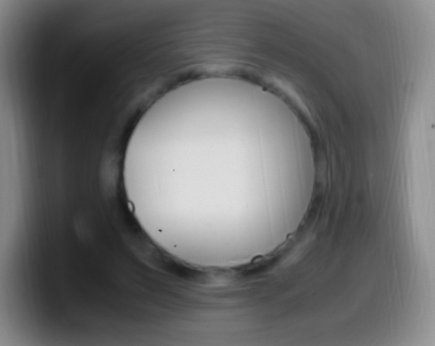 X0000099990495200805231047