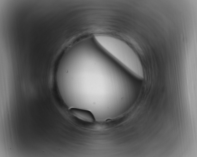 X0000099990496200805231047