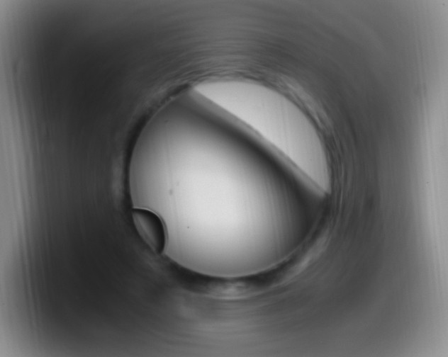 X0000099990497200805231047
