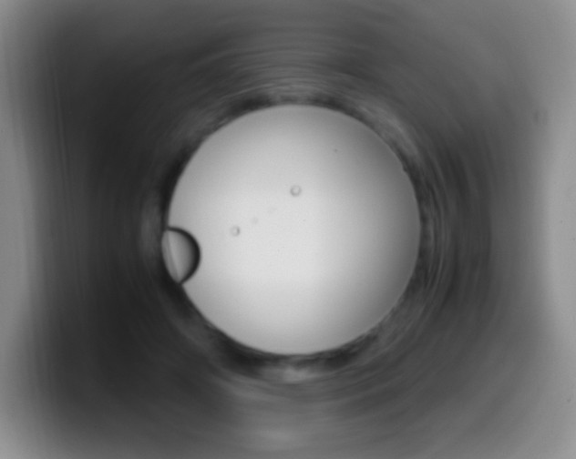 X0000099990498200805231047