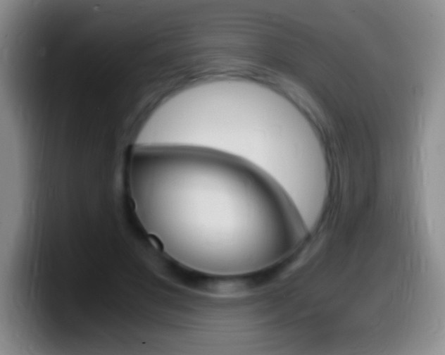 X0000099990501200805231047