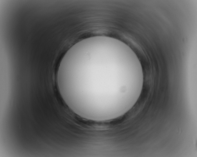 X0000099990502200805231047