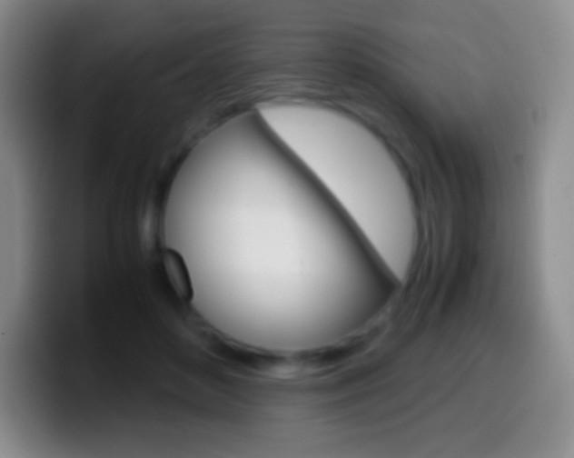 X0000099990504200805231047