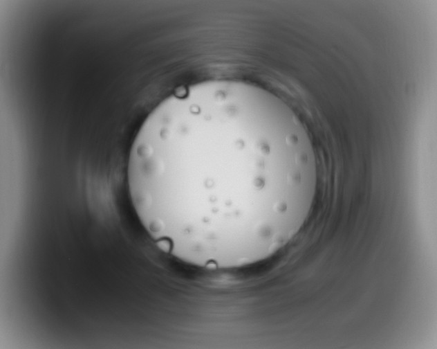 X0000099990507200805231047