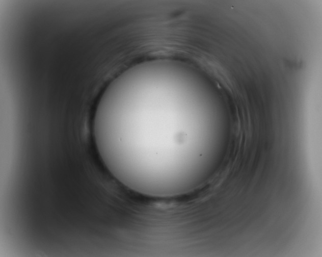X0000099990508200805231047