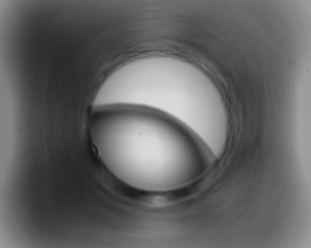 X0000099990509200805231047