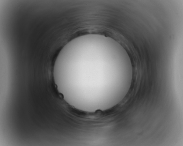 X0000099990510200805231047