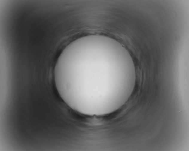 X0000099990511200805231047