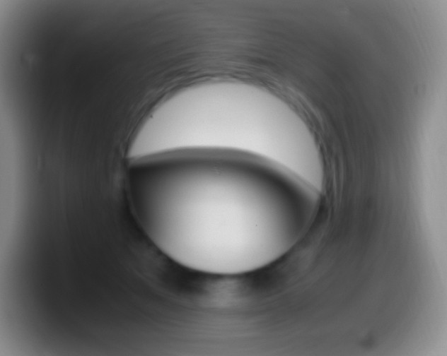 X0000099990513200805231047