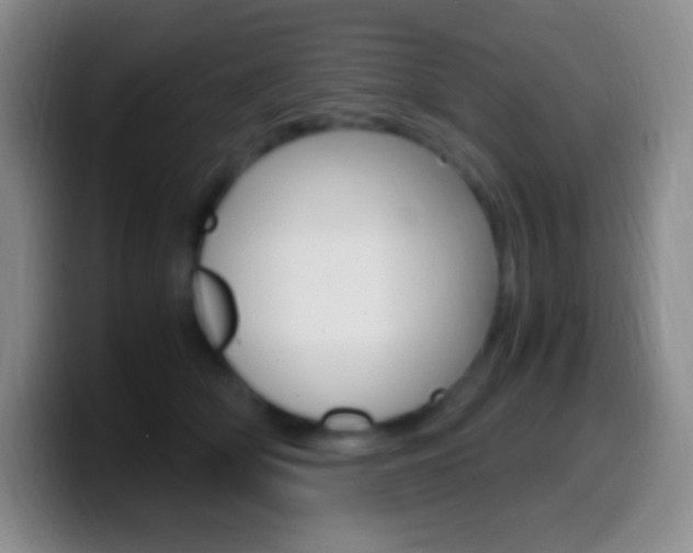 X0000099990514200805231047