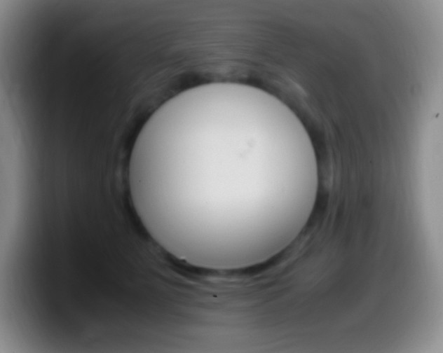 X0000099990515200805231047