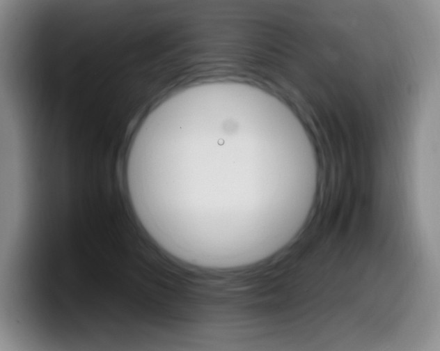 X0000099990516200805231047