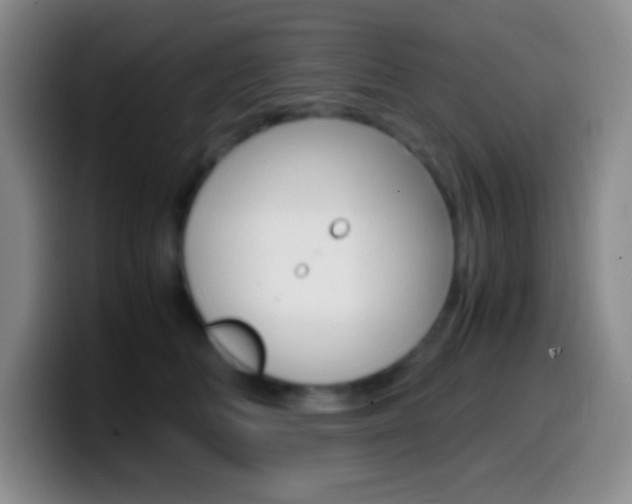 X0000099990518200805231047
