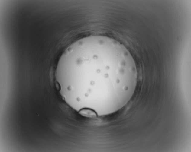 X0000099990519200805231047