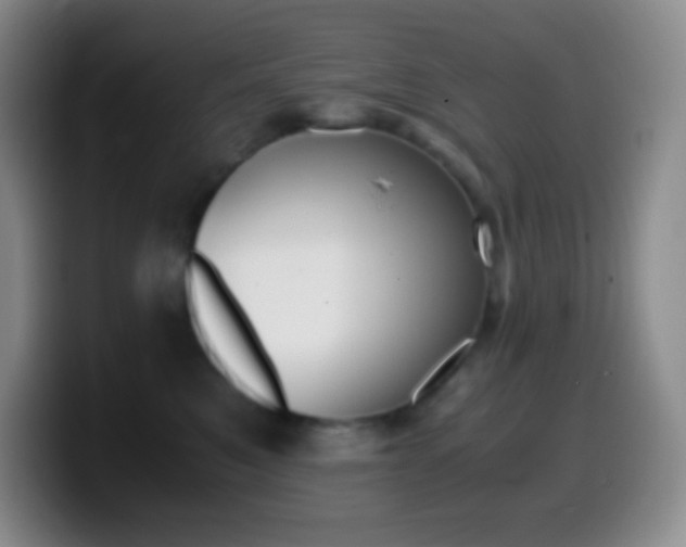 X0000099990521200805231047