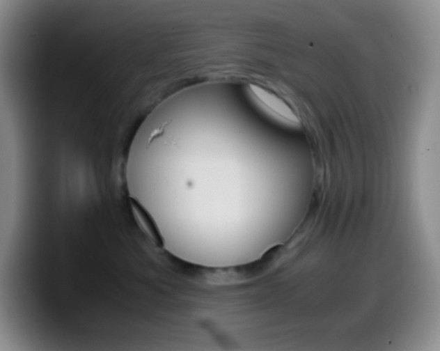 X0000099990525200805231046