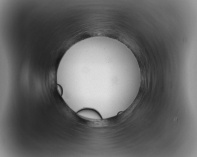 X0000099990526200805231046
