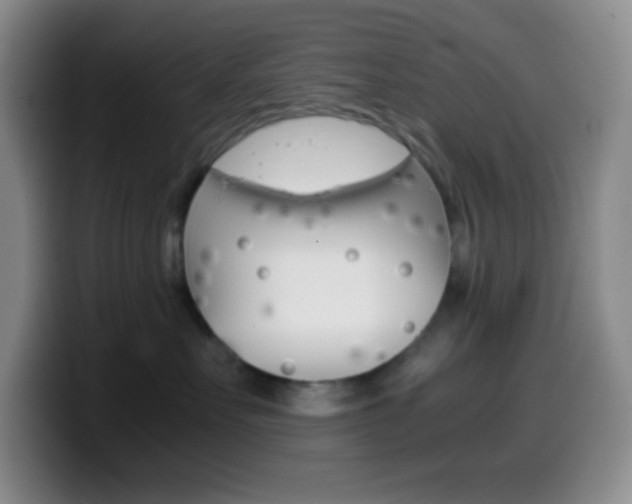 X0000099990527200805231046