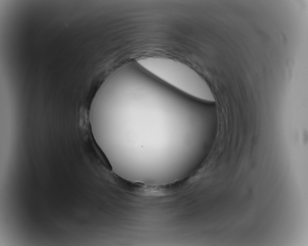 X0000099990528200805231046