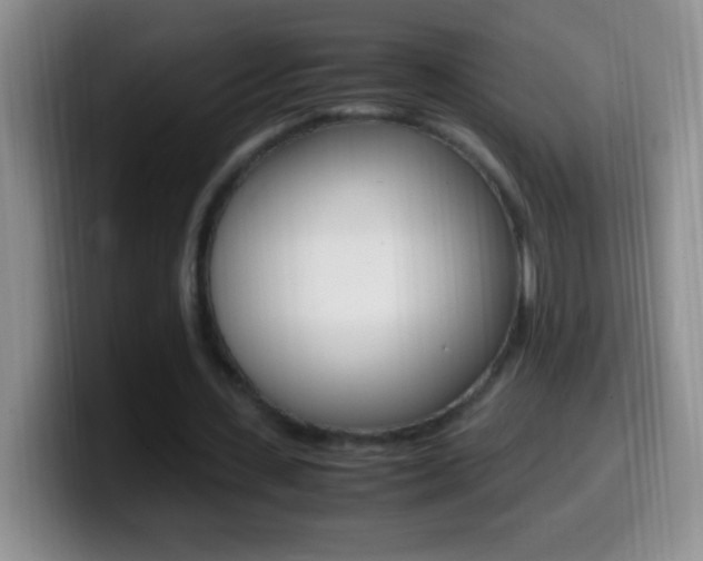 X0000099990531200805231046