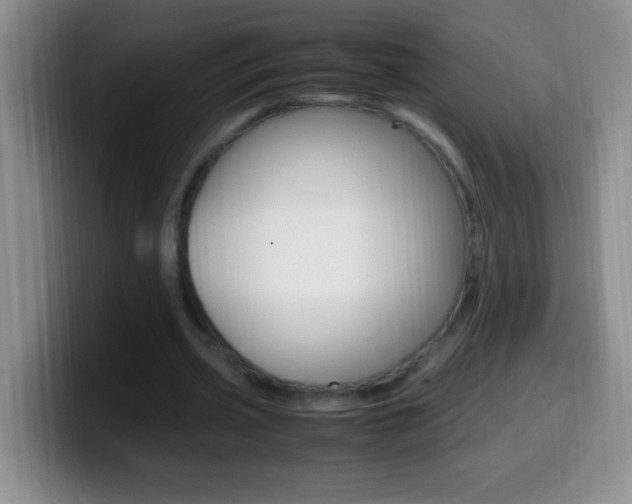 X0000099990533200805231046