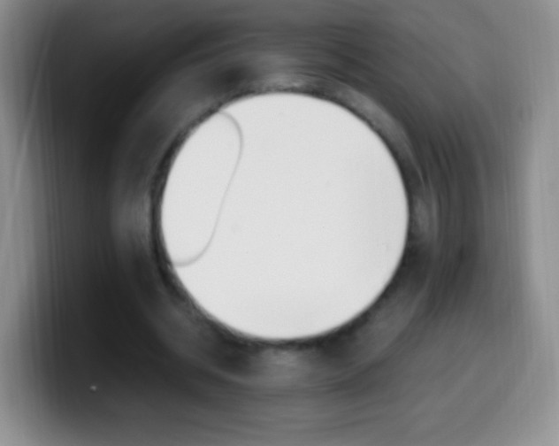 X0000099990534200805231046