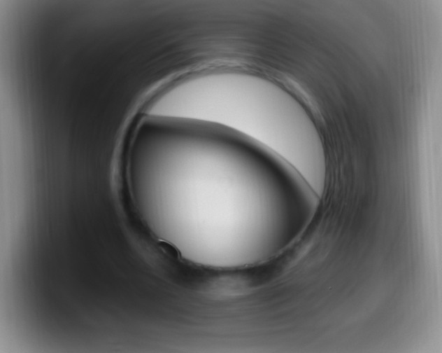 X0000099990536200805231046