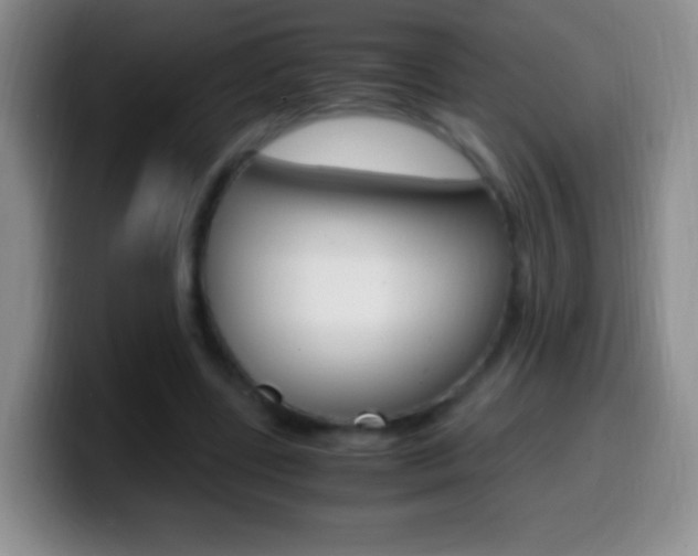 X0000099990539200805231046
