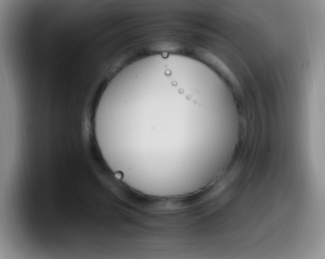 X0000099990541200805231046