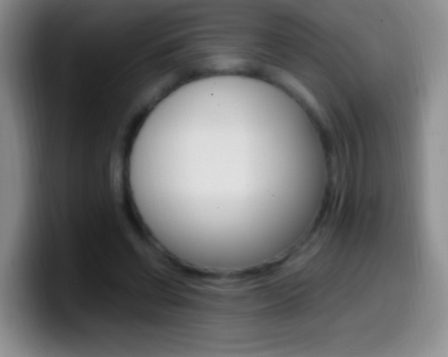 X0000099990542200805231046