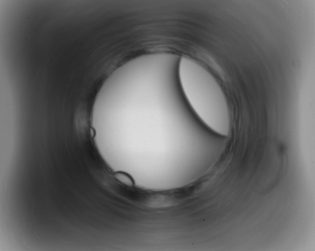 X0000099990549200805231046