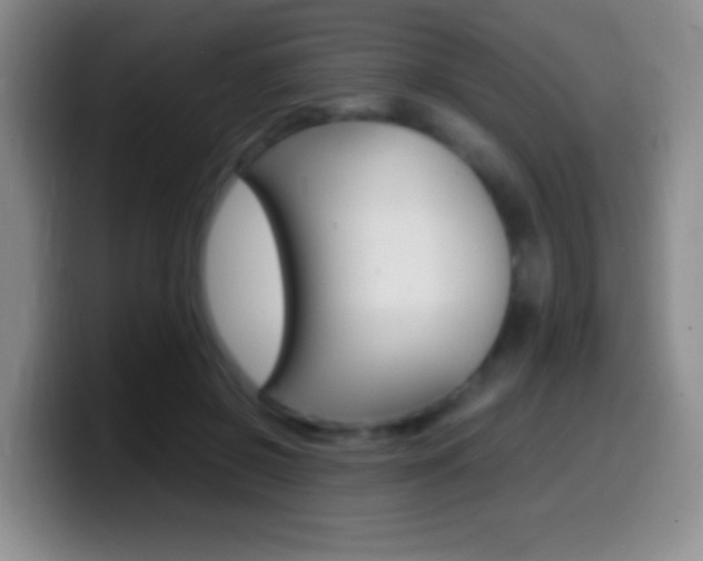 X0000099990550200805231046