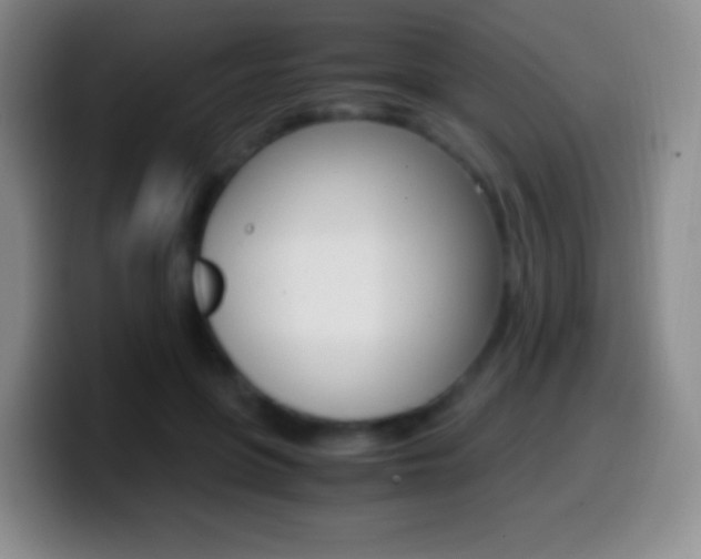 X0000099990551200805231046