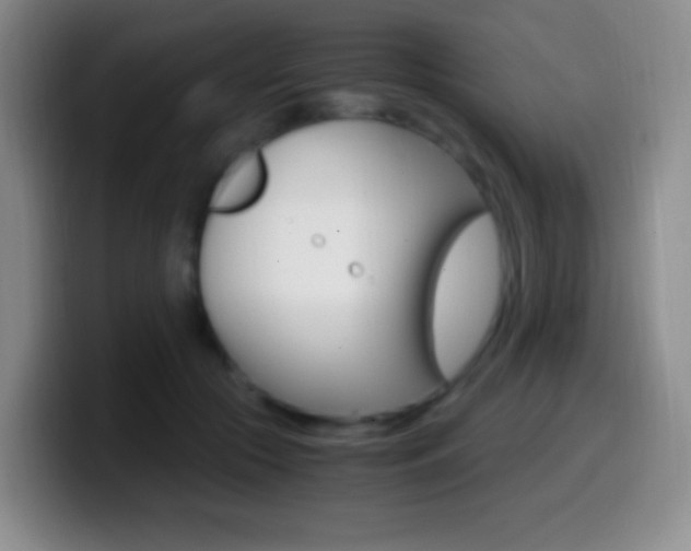 X0000099990553200805231046