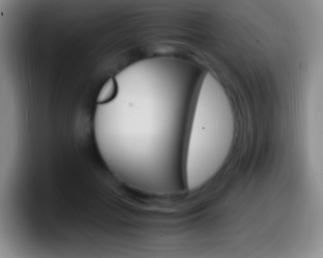 X0000099990555200805231046