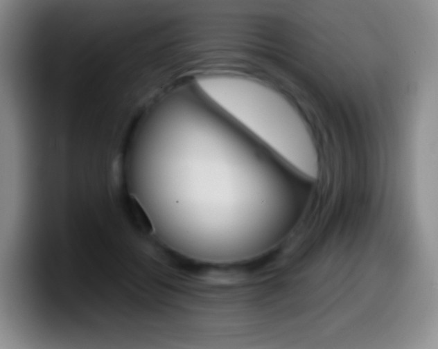 X0000099990556200805231046
