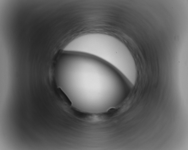 X0000099990558200805231046