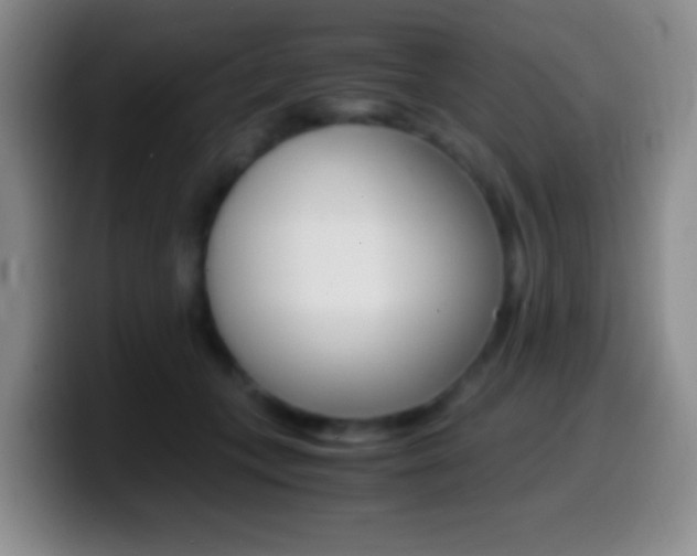 X0000099990559200805231046